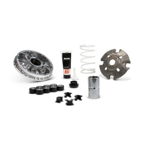 Variateur MALOSSI Multivar 2000