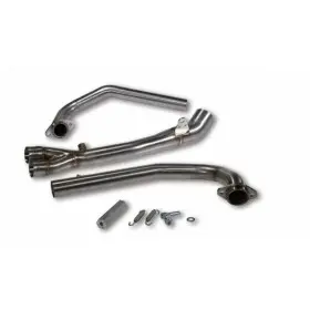 Collecteur MALOSSI Wild Lion - Inox Carbon