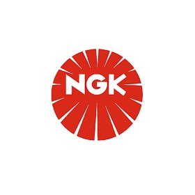 NGK Spark Plug NGK CPR6EB-9