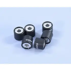 Jeu de galets POLINI 19x17mm 8,4gr - 6 pièces