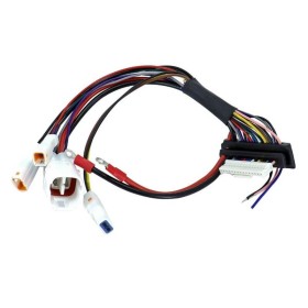 Câble carte-mère POLINI E-P3