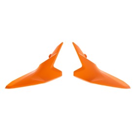 Plaques latérales RACETECH