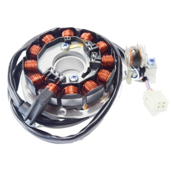 Stator TOP PERFORMANCES 12 bobines