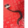 PARTIE CYCLE HORNET - Copie (25)