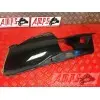 Sabot Gauche RSV 1000 98 - 03
