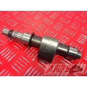 Moteur RSV1000 - Copie (29)