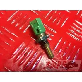 Moteur RSV1000 - Copie (49)