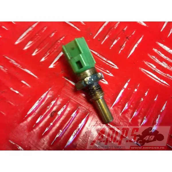 Sonde d'eau RSV 1000 98 - 03