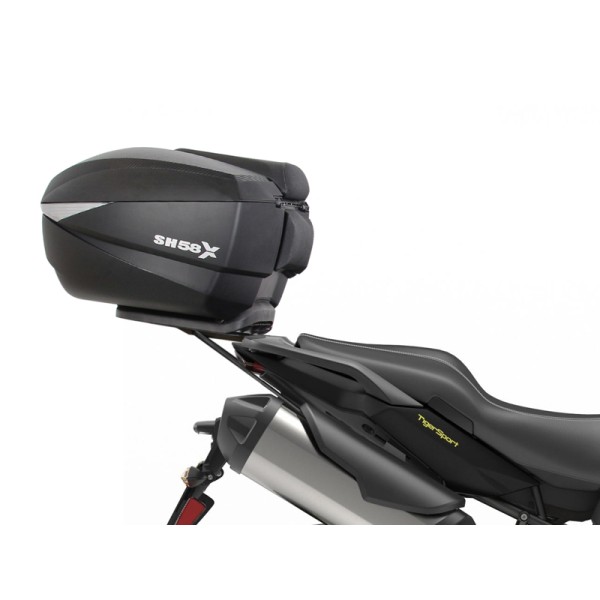 Fixation SHAD Top Master Triumph