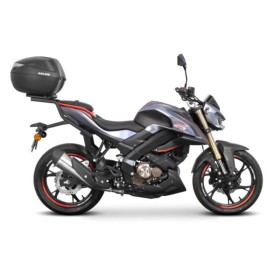 Fixation SHAD Top Master