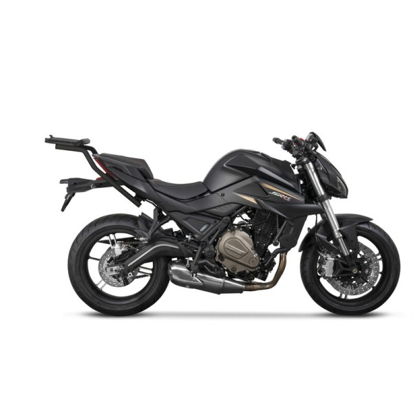 Fixation SHAD Top Master