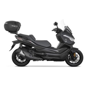 Fixation SHAD Top Master