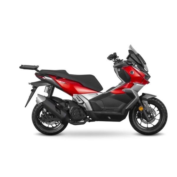 Fixation SHAD Top Master