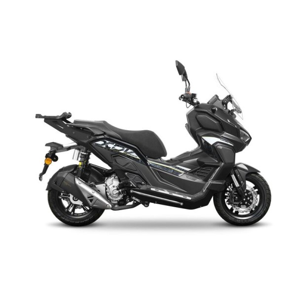 Fixation SHAD Top Master