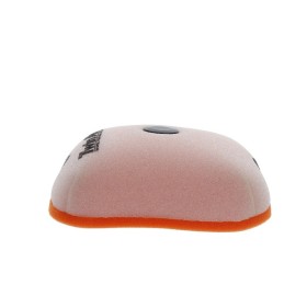 Filtre à air TWIN AIR - 158161