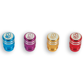 Bouchons de valves Schrader V BIKE - aluminium noir