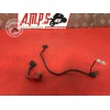 Cable de batterieFZS60003BS-556-NWB4-A21028983used