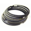 Segment TECNIUM par Woessner Ø73.50mm