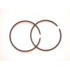 Segment TECNIUM par Woessner Ø68.00mm