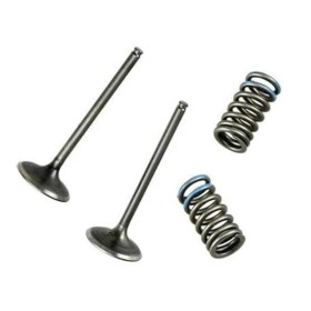 Kit de soupapes d\'échappement WÖSSNER - acier