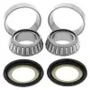 Kit roulements de colonne de direction ALL BALLS Yamaha/Sherco/Hyosung
