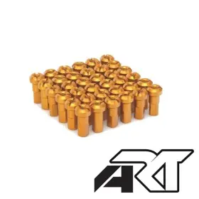 Jeu de rayons HAAN WHEELS - 36 rayons