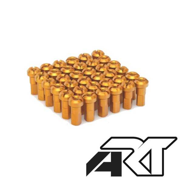 Jeu de rayons HAAN WHEELS - 36 rayons
