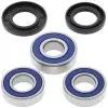 Kit roulements de roue arrière ALL BALLS Suzuki DR350R/DR350SE