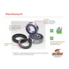 Kit roulements de roue avant ALL BALLS Can Am DS450