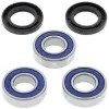 Kit roulements de roue arrière ALL BALLS Suzuki RM125/250 / Kawasaki VN900/900B