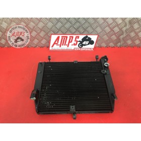 Radiateur d'eauR104CA-172-QBB4-C51029703used