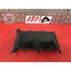 Radiateur d'eauXJ611BX-037-QWB4-G51032831used