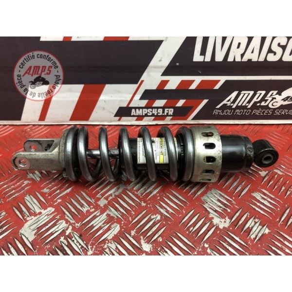 Amortisseur arrière 
