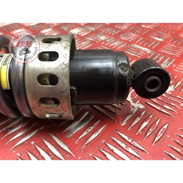 Amortisseur arrière 