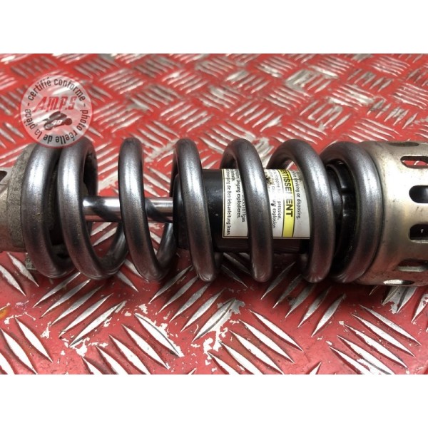 Amortisseur arrière 