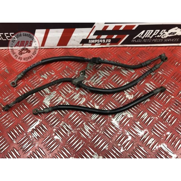 Durite de frein avant 