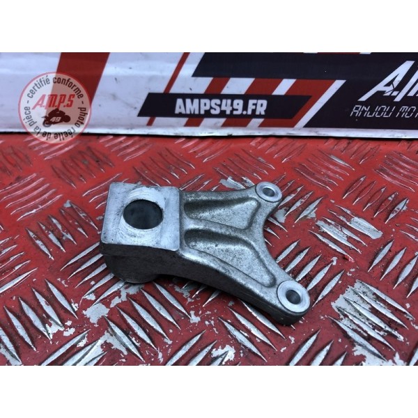 Support d'étrier de frein arrière 