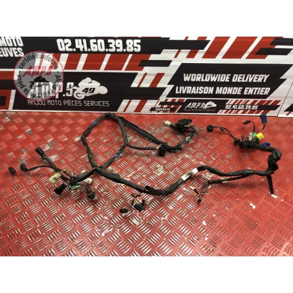 Faisceau électrique principale