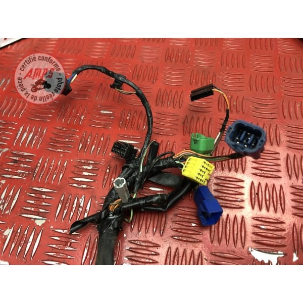 Faisceau électrique principale 