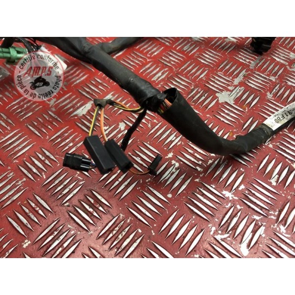 Faisceau électrique principale 