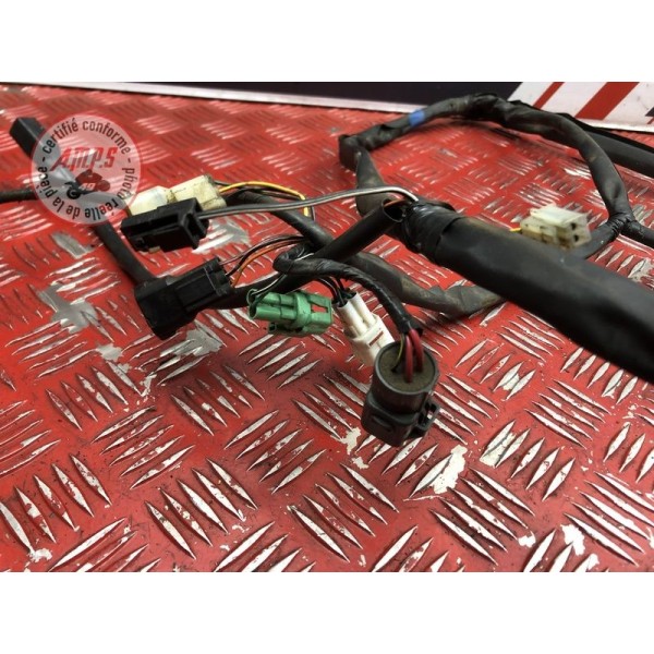 Faisceau électrique principale 