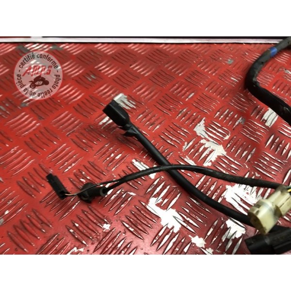 Faisceau électrique principale 