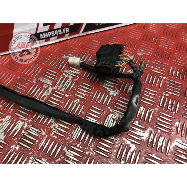 Faisceau électrique principale 