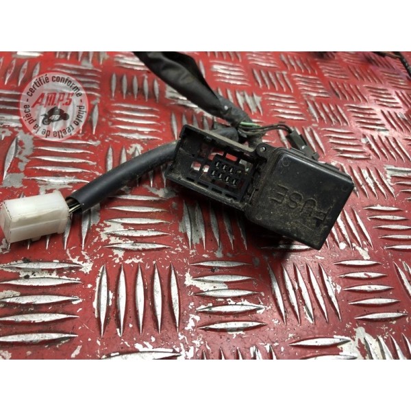 Faisceau électrique principale 