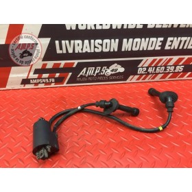 Bobine d'allumage 1-4 