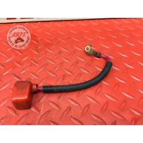 Cable de batterie 