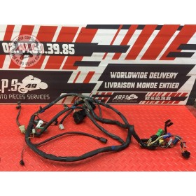 Faisceau électrique principale 