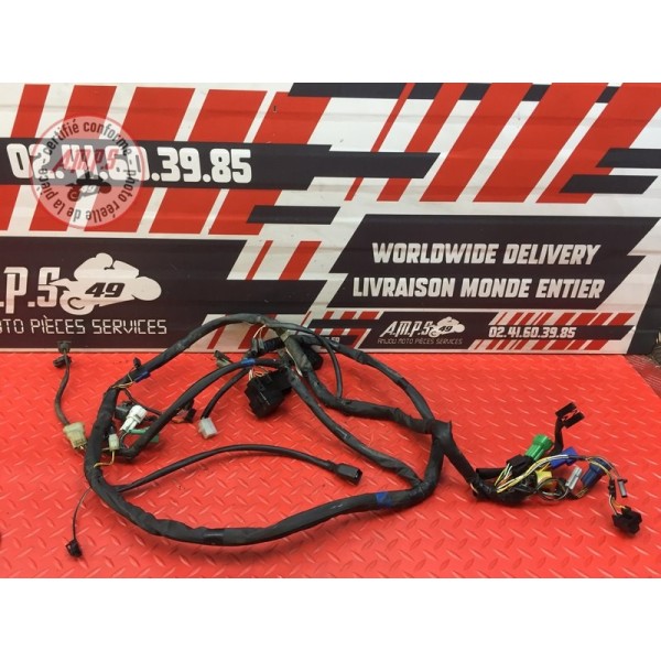 Faisceau électrique principale