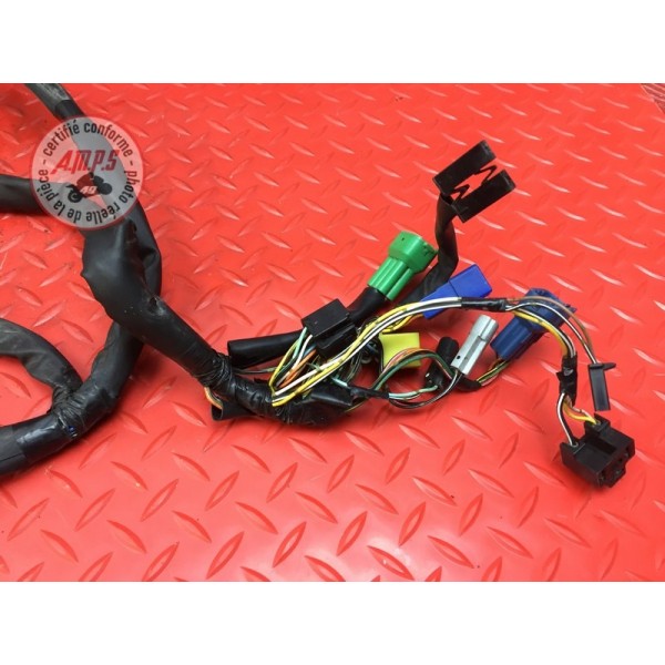 Faisceau électrique principale 