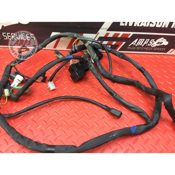 Faisceau électrique principale 